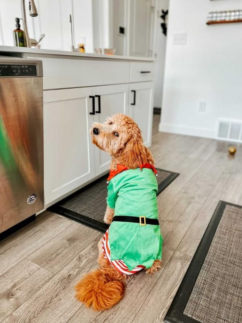 Dog Elf Costume (Small)
