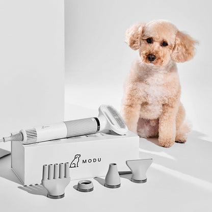 SMART PET DRYER