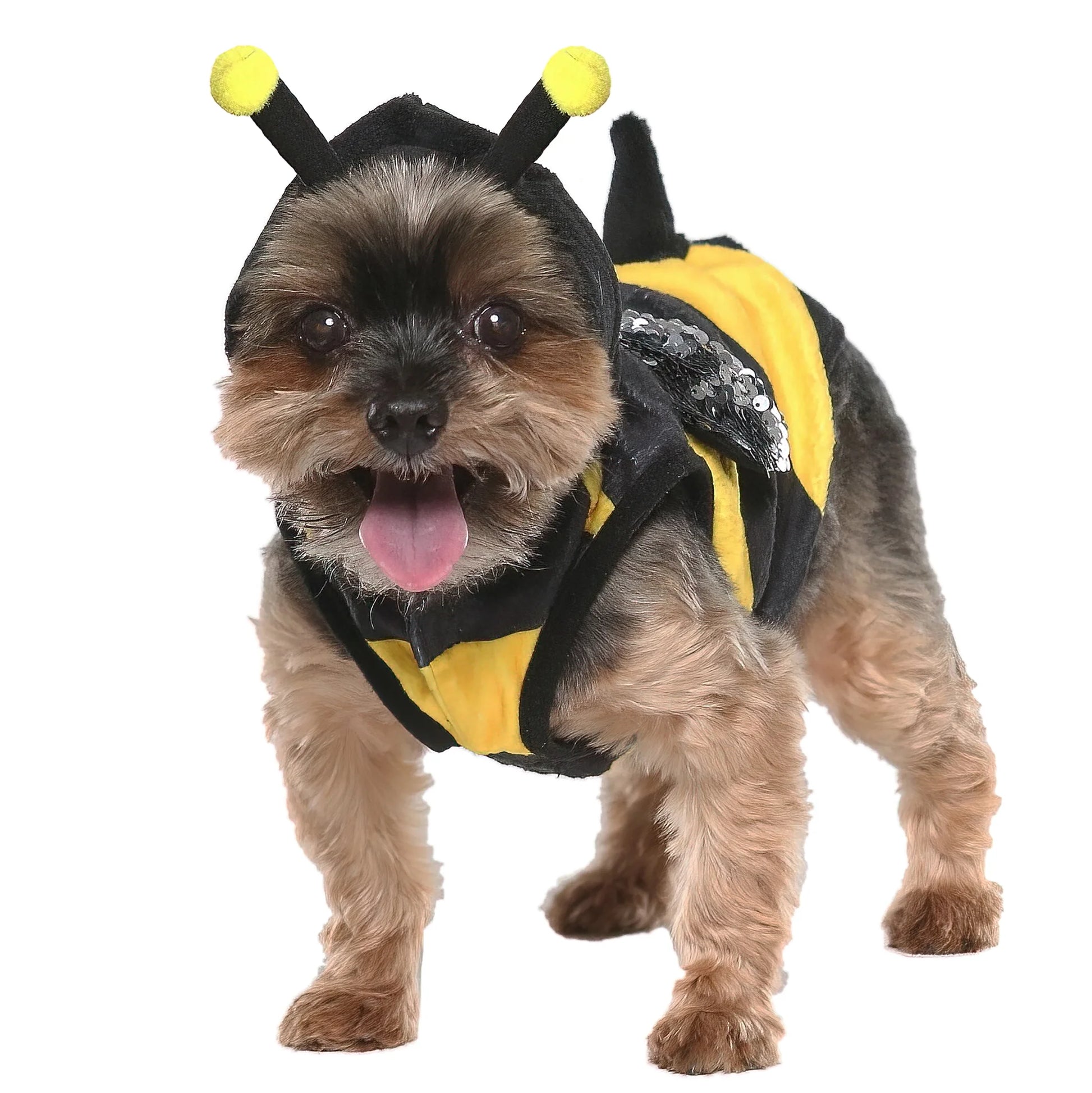 Vl Hw Bumblebee Costume Xsmall