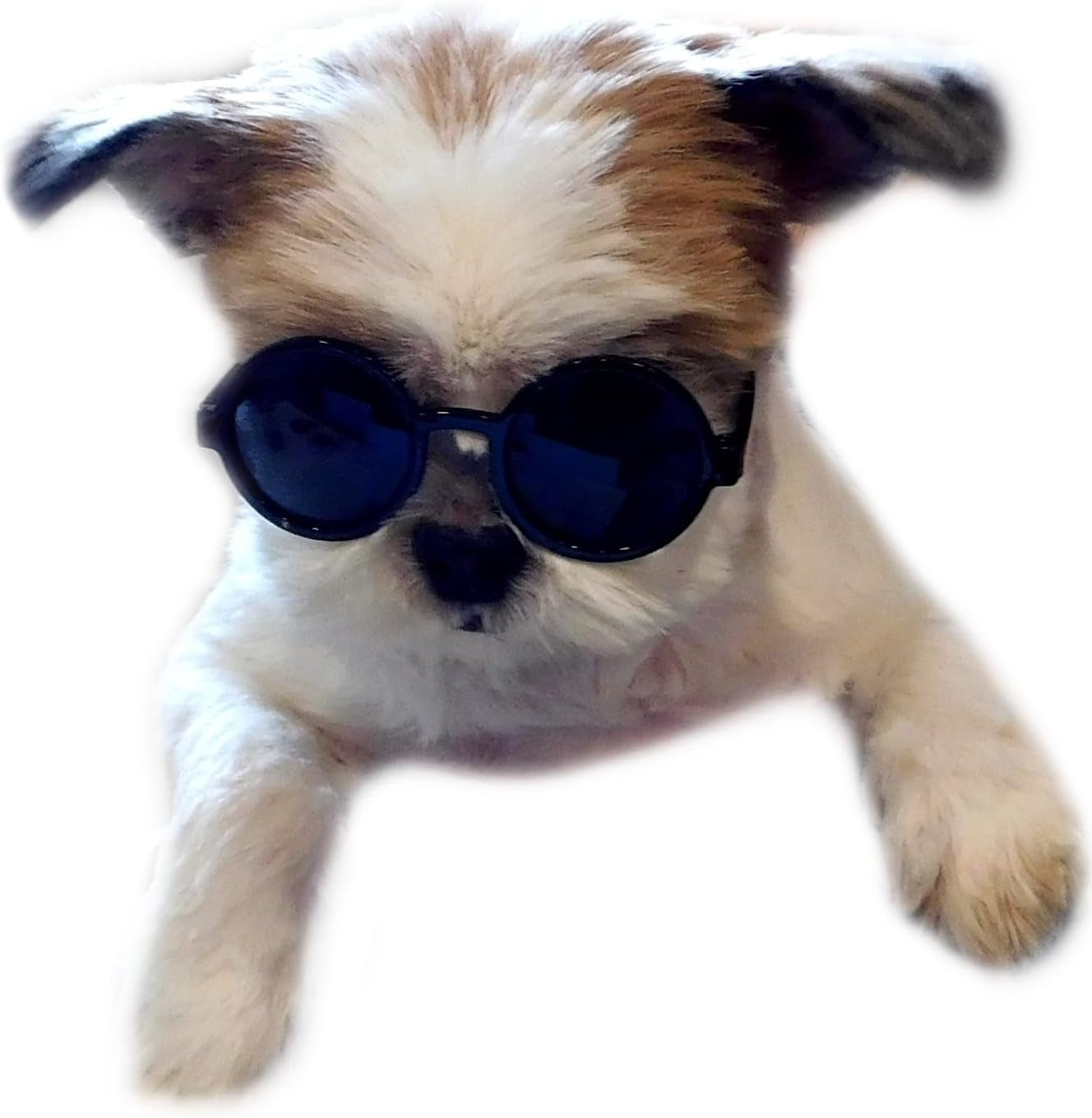 G016 Small Breed Dog up to 15Lbs Pet Cat round Tiny Sunglasses (Black)