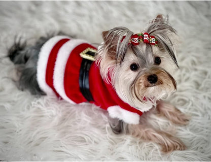 Dog Christmas Dresses Cat Xmax Suits Small Pet Haliday Outfits Winter Warm Clothes (Red, S)