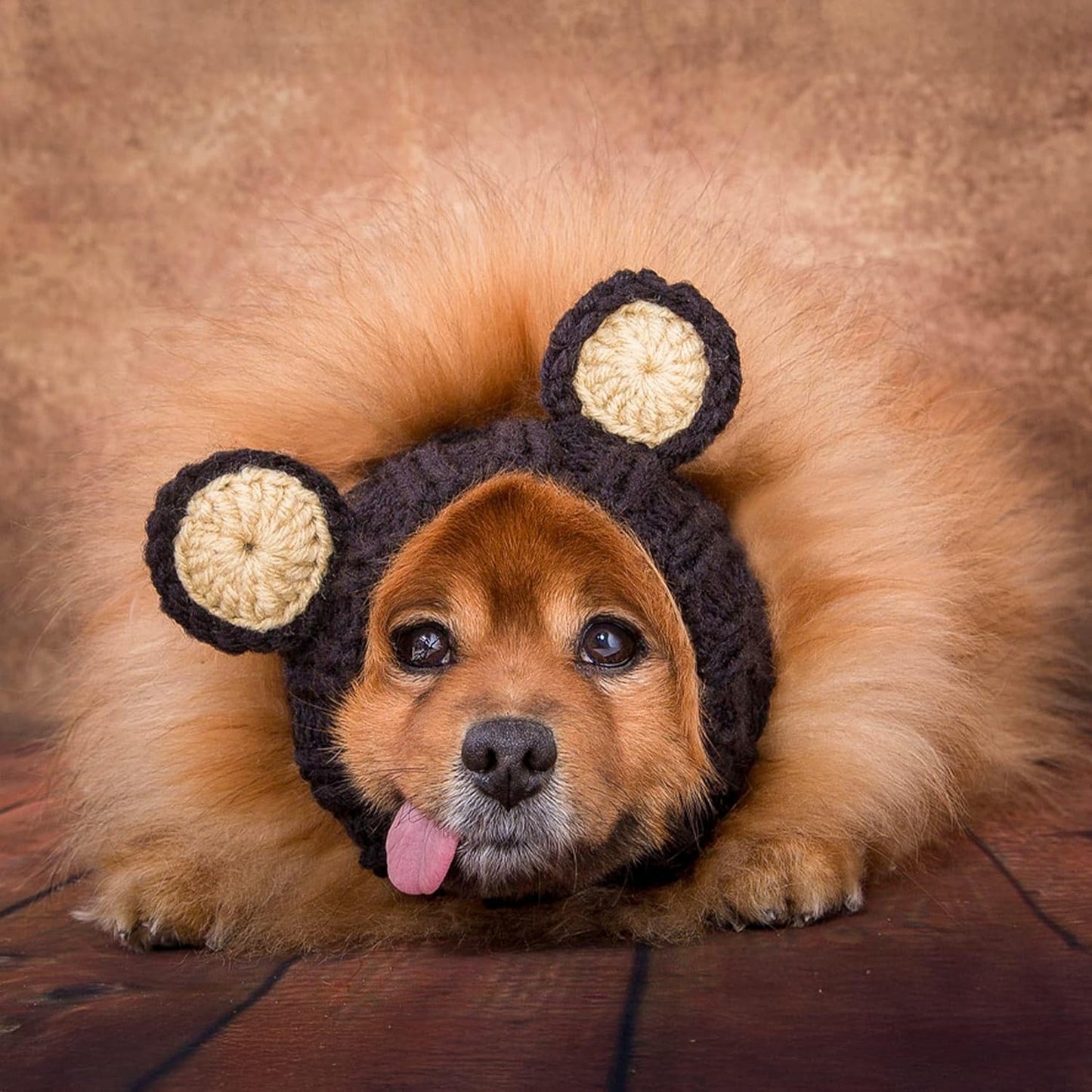 Black Bear Costume - Warm Knit Dog Snood Wrap for Pets, Neck Ear Cover Protection, Halloween Winter (Large)