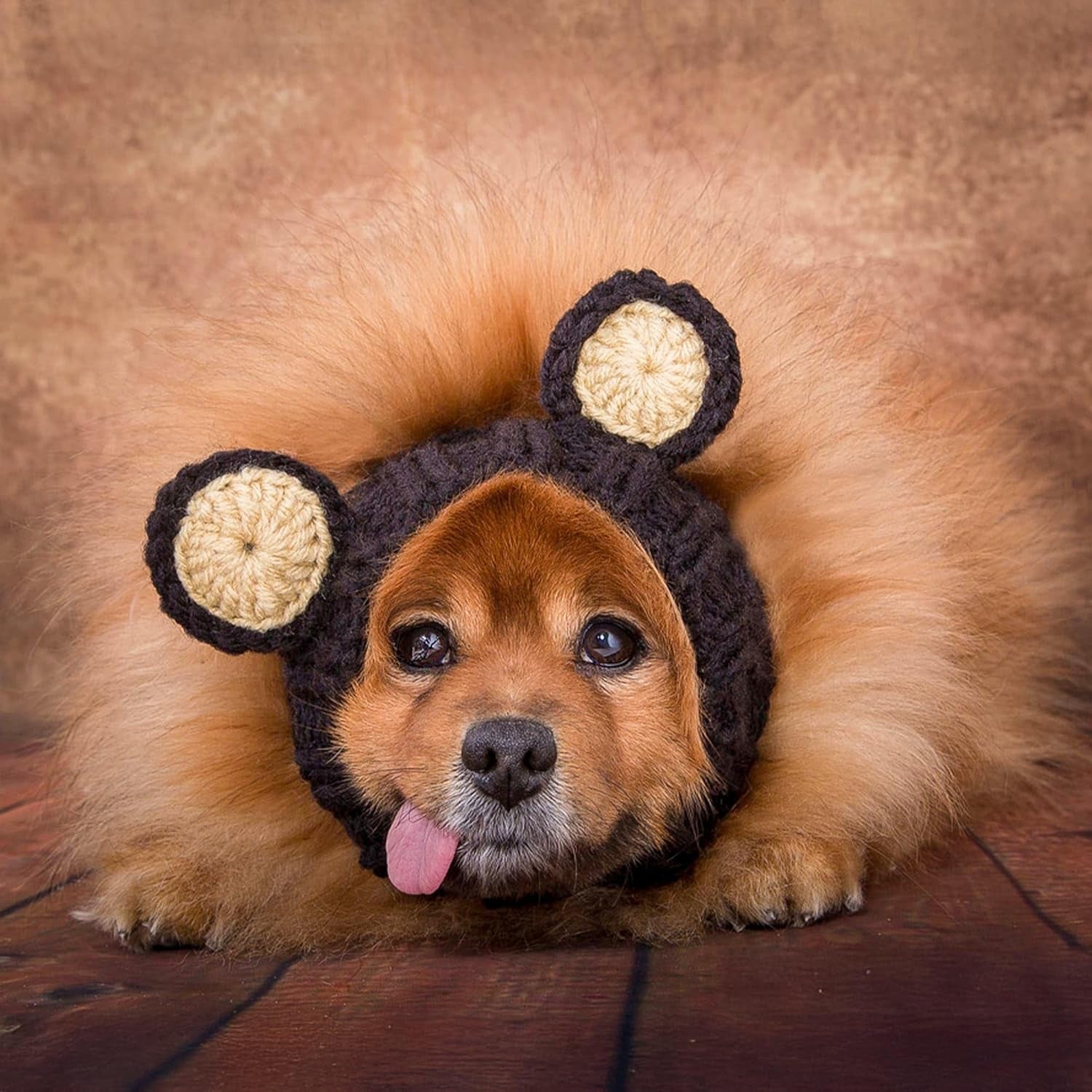 Black Bear Costume - Warm Knit Dog Snood Wrap for Pets, Neck Ear Cover Protection, Halloween Winter (Large)