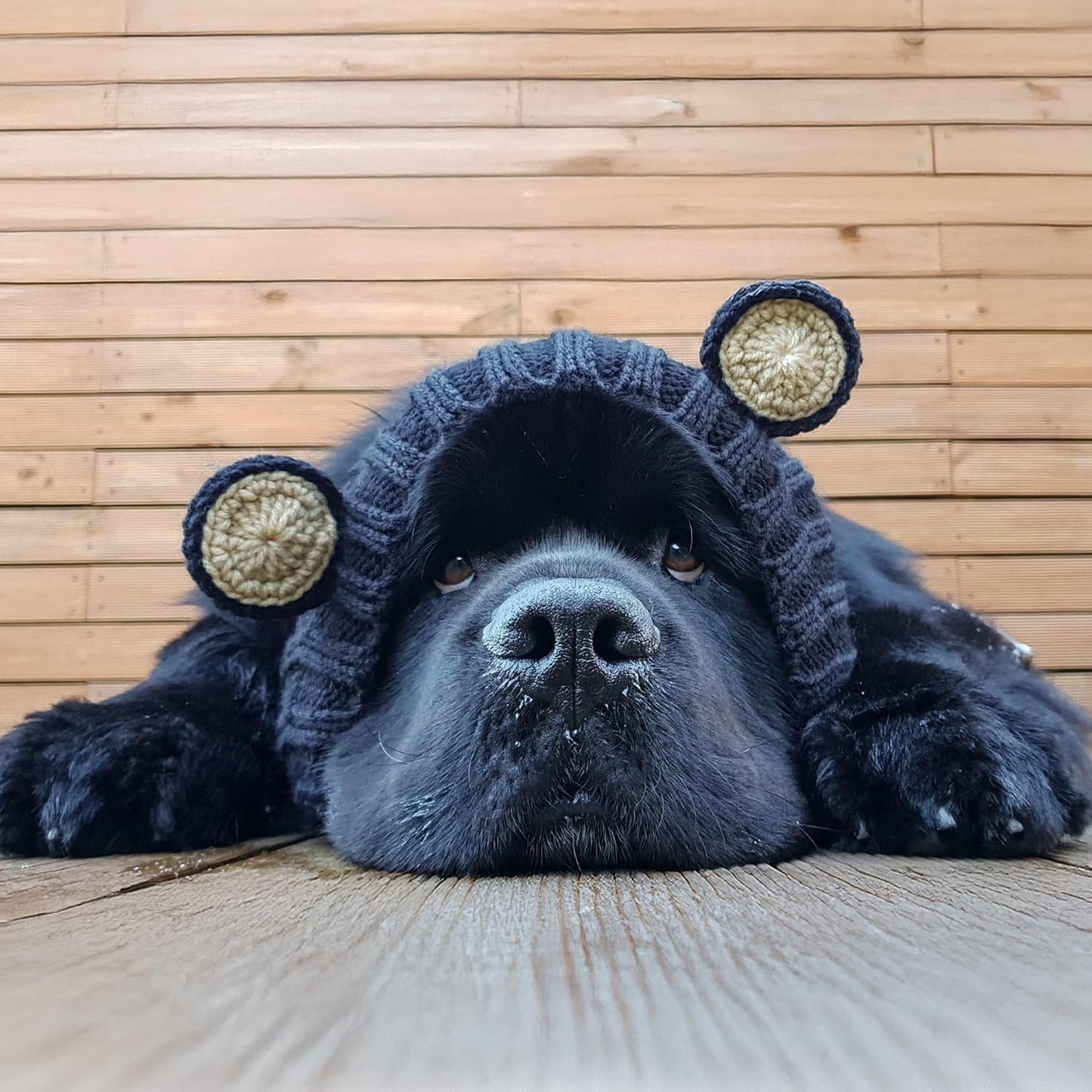 Black Bear Costume - Warm Knit Dog Snood Wrap for Pets, Neck Ear Cover Protection, Halloween Winter (Large)