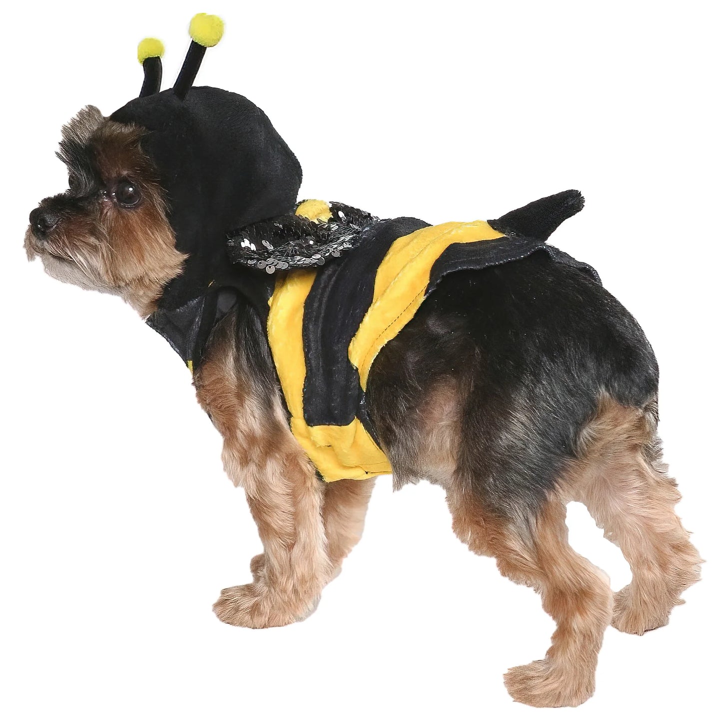 Vl Hw Bumblebee Costume Xsmall