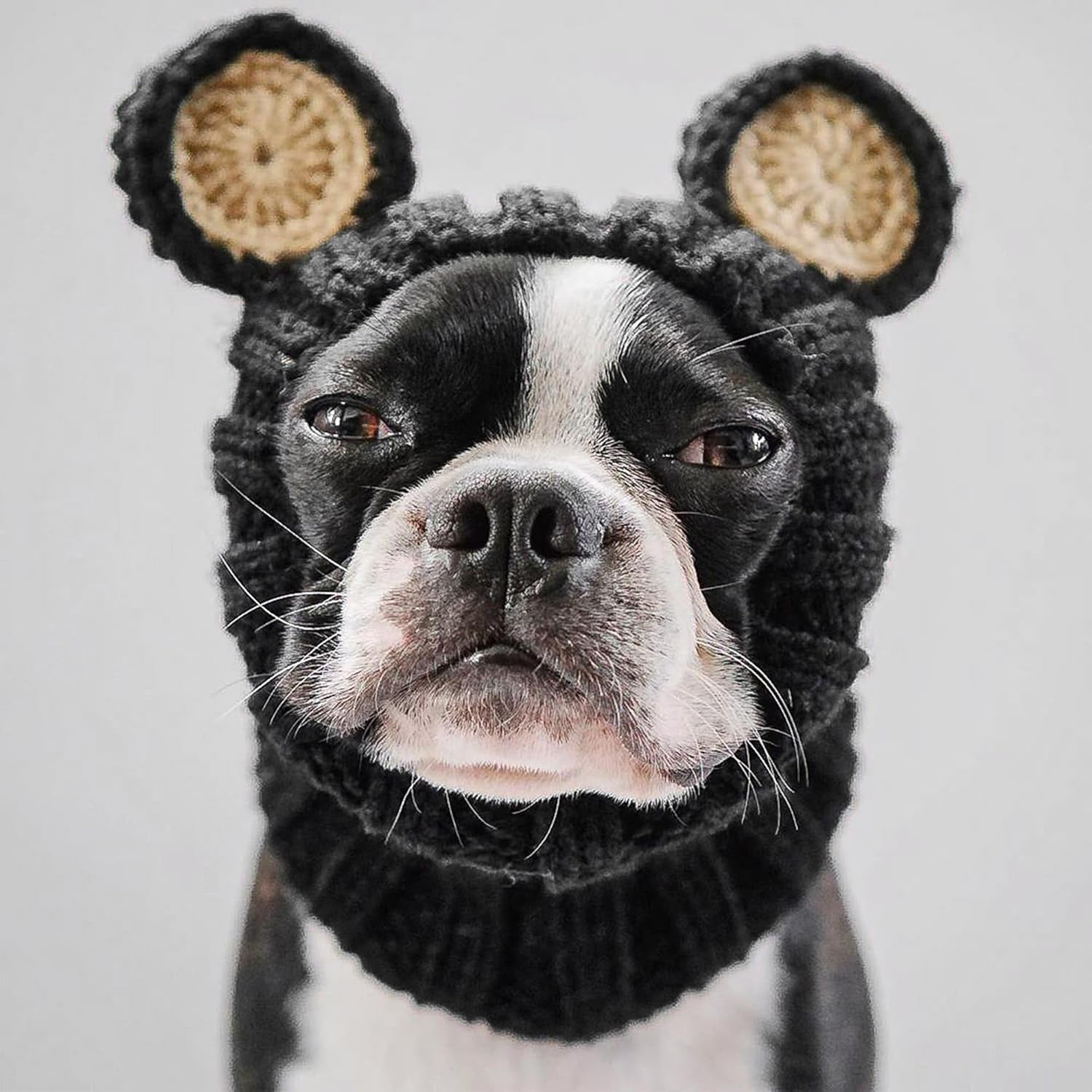Black Bear Costume - Warm Knit Dog Snood Wrap for Pets, Neck Ear Cover Protection, Halloween Winter (Large)