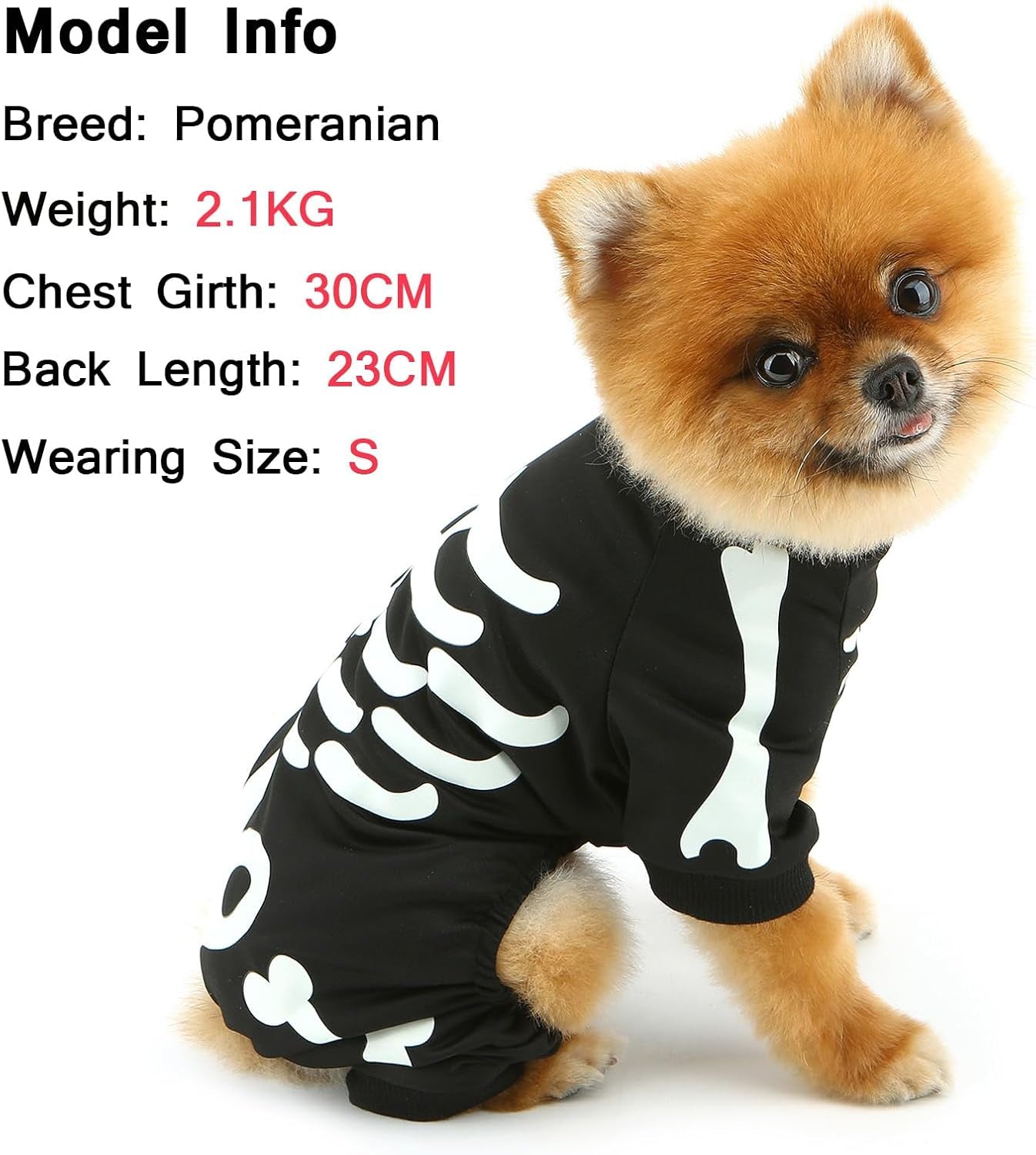 Halloween Dog Costumes for Small Dog Glow in the Dark Skeleton Pet Jumpsuit Skull Puppy Pajamas Breathable Stretchy Halloween Holiday Cosplay Party Apparel