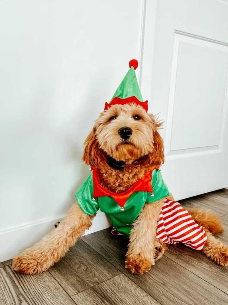 Dog Elf Costume (Small)