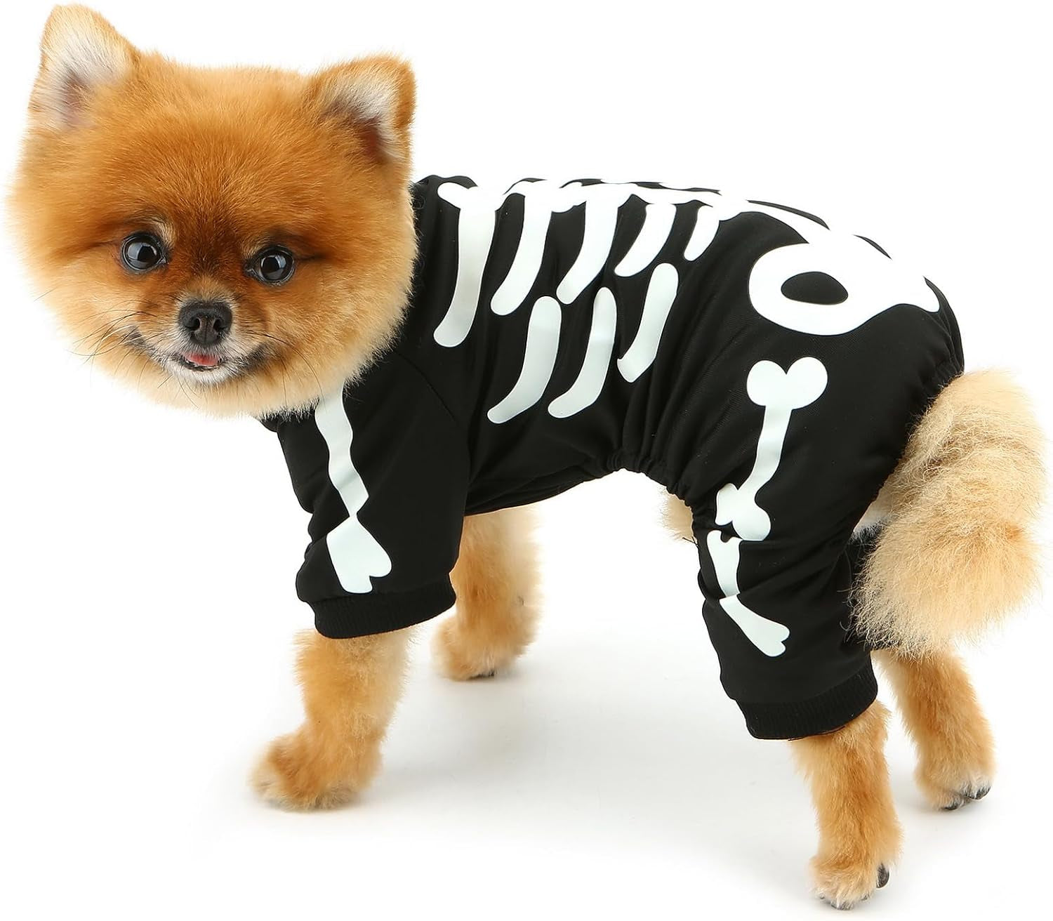 Halloween Dog Costumes for Small Dog Glow in the Dark Skeleton Pet Jumpsuit Skull Puppy Pajamas Breathable Stretchy Halloween Holiday Cosplay Party Apparel
