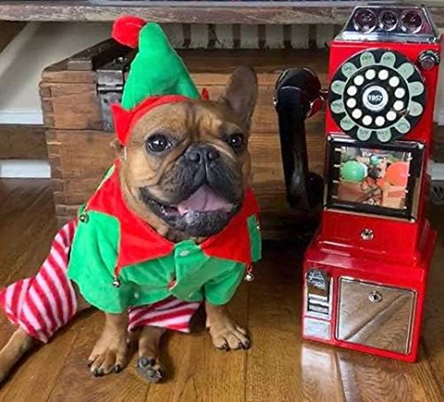 Dog Elf Costume (Small)