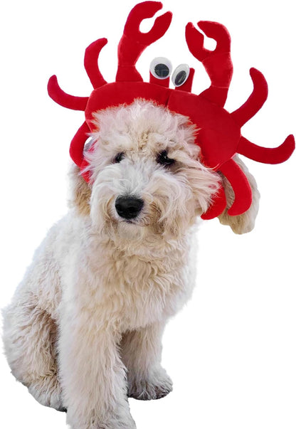 Crab Dog Costume - X Large Medium Small Little French Lab Retriever Mermaid Cosplay Halloween Costumes, Medium, Red