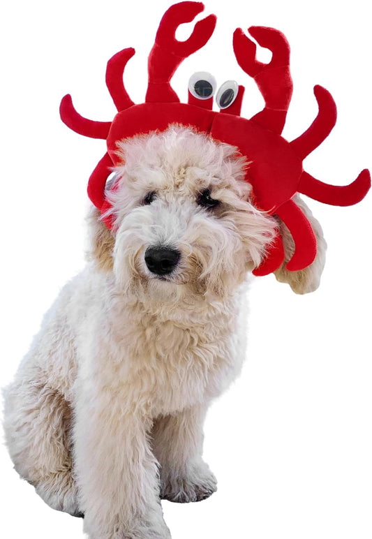 Crab Dog Costume - X Large Medium Small Little French Lab Retriever Mermaid Cosplay Halloween Costumes, Medium, Red