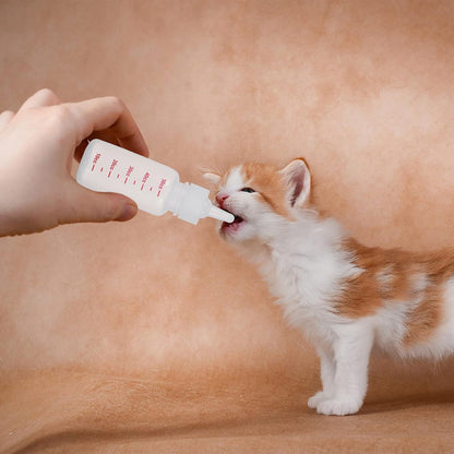 Pet Pacifier Bottle for Kitten Puppy 1 Set Feeding Dropper Safe Supplies for Newborn Pet Feeding