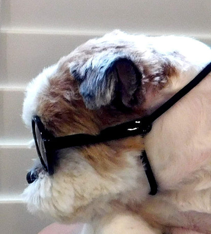 G016 Small Breed Dog up to 15Lbs Pet Cat round Tiny Sunglasses (Black)