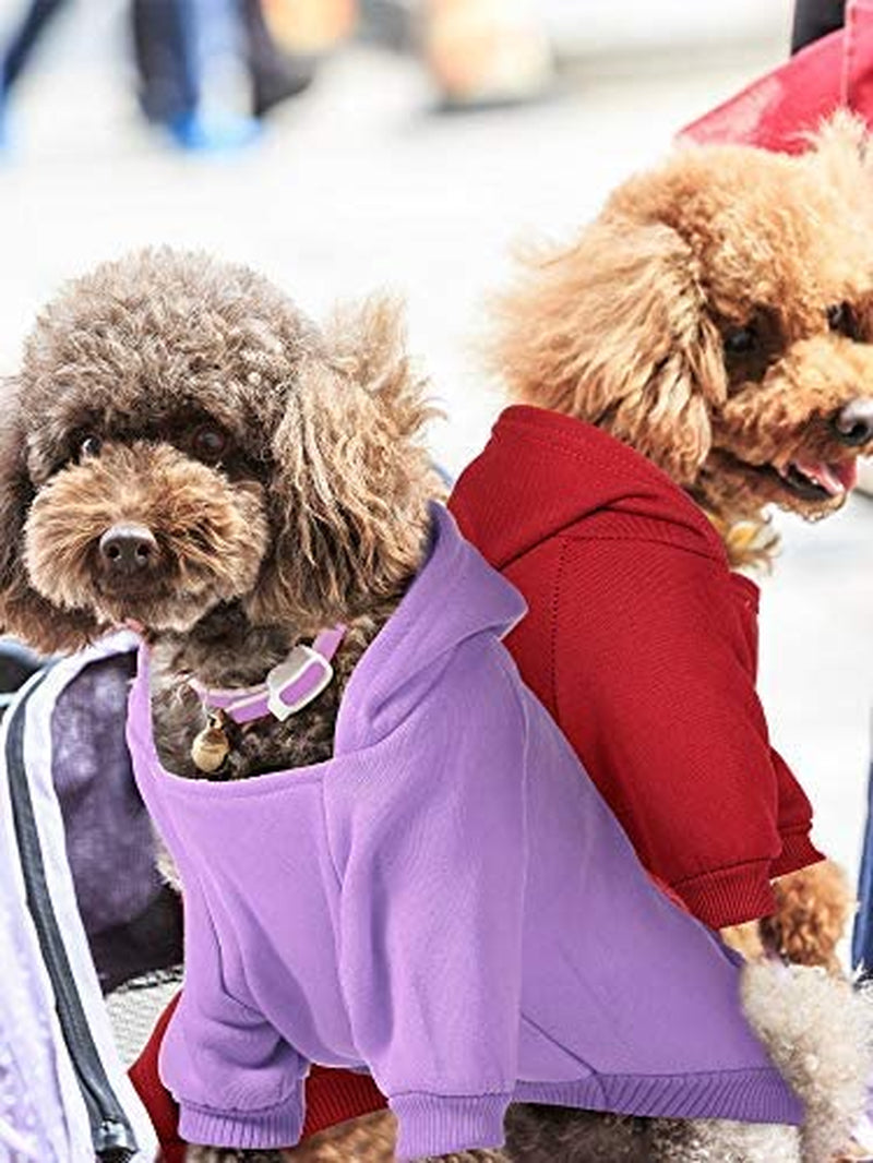 4-Piece Small Dog Sweater Set - Dog Hoodie Clothes with Hat for Small Dogs, Chihuahua, Winter Warm Hoodies & Coat Sweater Shirt(M)